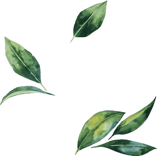 product shape